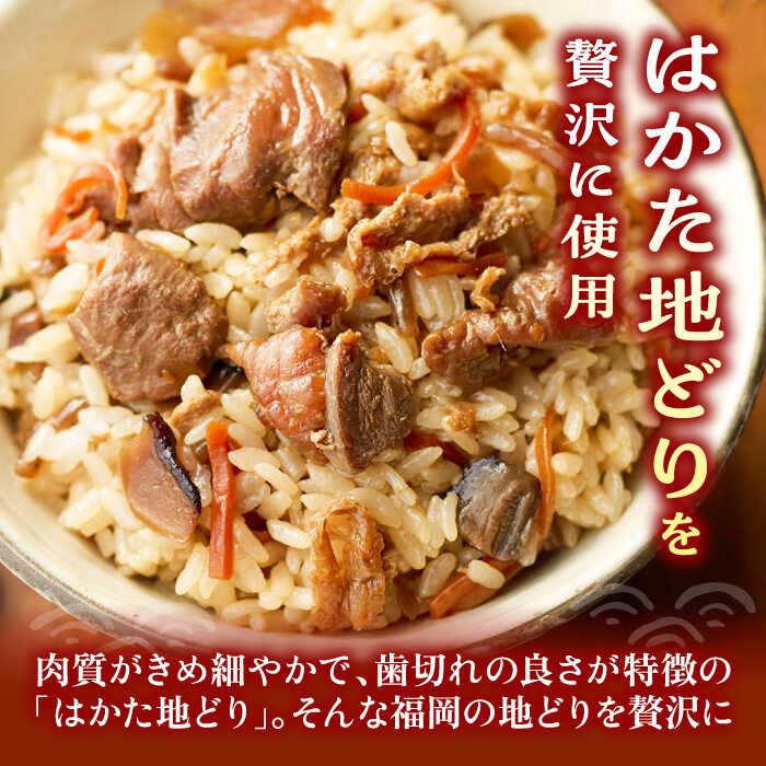 【ふるさと納税】地どり飯の素 セット 190g×3袋 《豊前市》【有限会社よかろう】 鶏飯 鶏めし ご飯の素 地鶏飯 炊き込みご飯の素[VBA008] 12000 12000円 サムネイル2