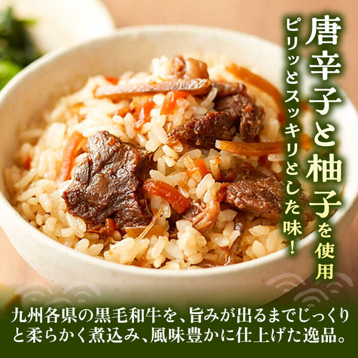【ふるさと納税】牛すじ飯の素 セット 200g×3袋 《豊前市》【有限会社よかろう】ご飯の素 牛すじ飯[VBA009] 12000 12000円 サムネイル2