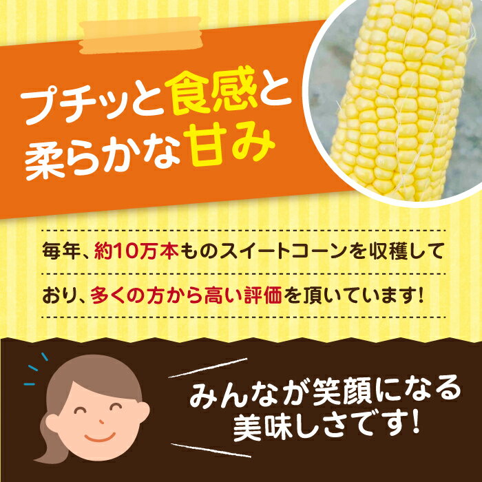 【ふるさと納税】【先行予約受付 2026年6月頃より順次発送】【冷蔵配送】農家直送 朝どれ スイートコーン 約4kg（9〜12本入り）《豊前市》【湯越農園】 野菜 コーン [VBC001] 12000 12000円 - 画像2