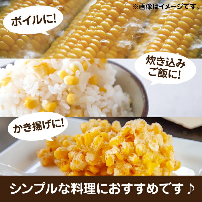 【ふるさと納税】【先行予約受付 2026年6月頃より順次発送】【冷蔵配送】農家直送 朝どれ スイートコーン 約4kg（9〜12本入り）《豊前市》【湯越農園】 野菜 コーン [VBC001] 12000 12000円 - 画像3