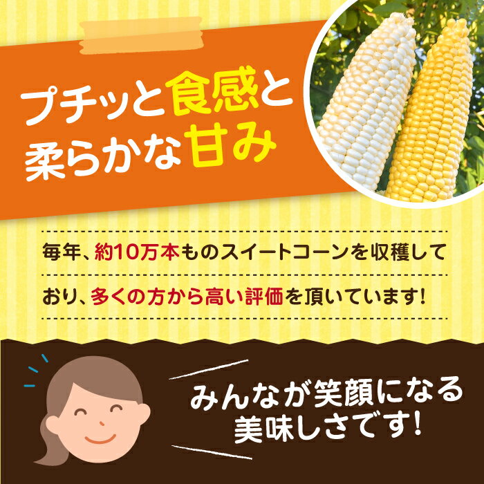【ふるさと納税】【先行予約受付 2026年6月頃より順次発送】【冷蔵配送】農家直送 朝どれ スイートコーン 白 黄 食べ比べ セット 約4kg （9〜12本入り）《豊前市【湯越農園】 野菜 コーン [VBC002] 13000 13000円 - 画像2