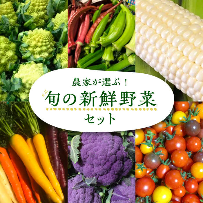 農家が選ぶ！ 旬の新鮮野菜セット《豊前市》【田村農産】産直 野菜 やさい 詰め合わせ[VBE002] 15000 15000円