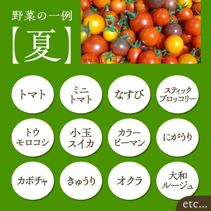 【ふるさと納税】【全3回定期便】農家が選ぶ！ 旬の新鮮野菜セット《豊前市》【田村農産】産直 野菜 やさい 詰め合わせ[VBE008] 44000 44000円 - 画像3