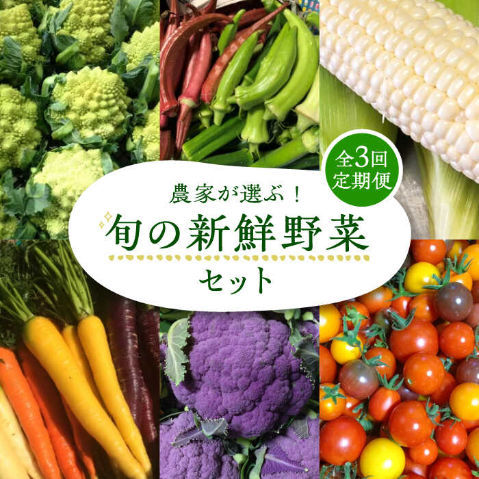 【全3回定期便】農家が選ぶ！ 旬の新鮮野菜セット《豊前市》【田村農産】産直 野菜 やさい 詰め合わせ[VBE008] 44000 44000円