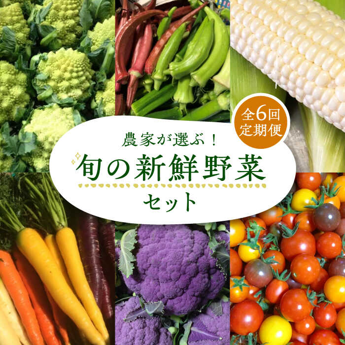 【全6回定期便】農家が選ぶ！ 旬の新鮮野菜セット《豊前市》【田村農産】産直 野菜 やさい 詰め合わせ[VBE009] 87000 87000円