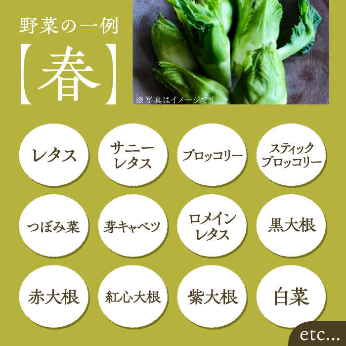 【ふるさと納税】【全12回定期便】農家が選ぶ！ 旬の新鮮野菜セット《豊前市》【田村農産】産直 野菜 やさい 詰め合わせ[VBE010] 173000 173000円 - 画像2