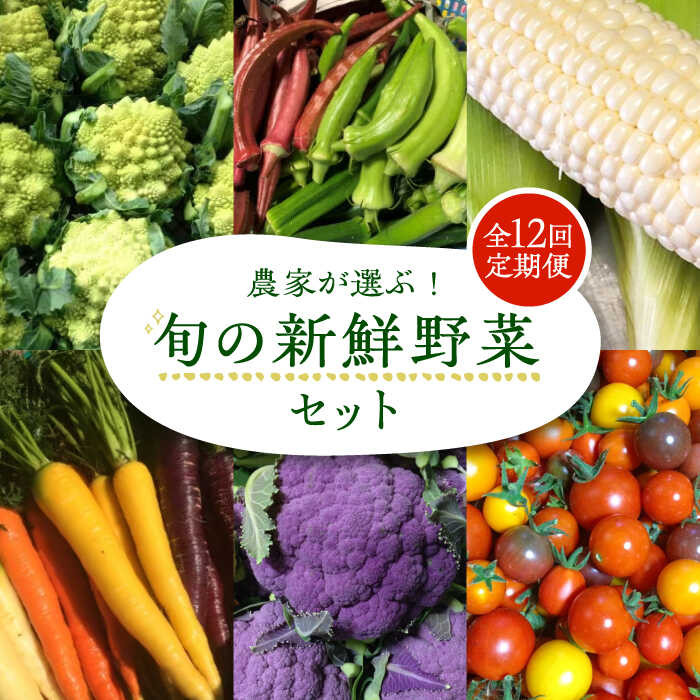 【全12回定期便】農家が選ぶ！ 旬の新鮮野菜セット《豊前市》【田村農産】産直 野菜 やさい 詰め合わせ[VBE010] 173000 173000円
