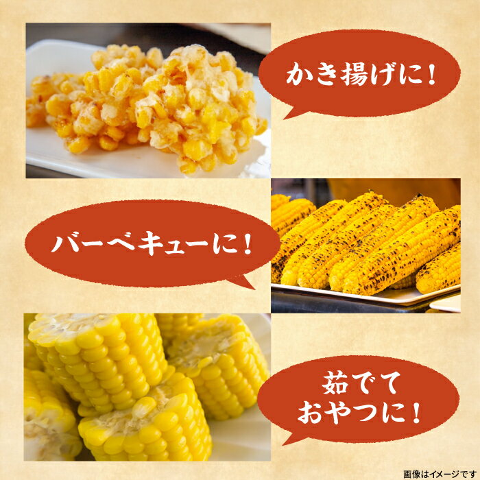 【ふるさと納税】【2026年6月以降出荷分予約】下山農園 としちゃんの 農家直送 スイートコーン 約4kg（11〜13本入り）《豊前市》【下山農園】とうもろこし 野菜 BBQ [VBH001] - 画像3