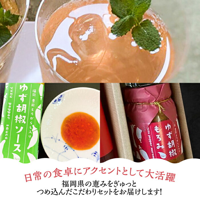 【ふるさと納税】＜いちご美人＞ 飲む酢 & ゆず胡椒 ソース / もろみ セット 《豊前市》【株式会社ワカヤマ】地産 福岡 万能 調味料 酢 [VBW006] 13000 13000円 サムネイル2