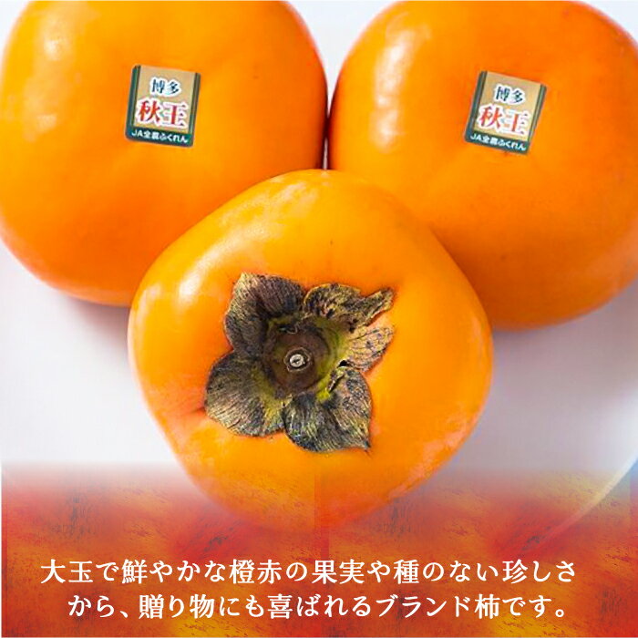 【ふるさと納税】【先行予約】秋王 ( あきおう ) 柿 1.5kg 箱 (4-6玉)【2025年10月以降順次発送】《豊前市》【南国フルーツ】柿 果物 フルーツ＜離島配送不可＞[VBY006] サムネイル3