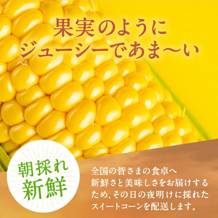 【ふるさと納税】【先行予約】夜明けのスイートコーン 4kg×1箱 (7〜10本) 【2026年6月以降順次発送】《豊前市》【アグリネックス】 とうもろこし コーン スイートコーン 14000円 [VCO001] - 画像2