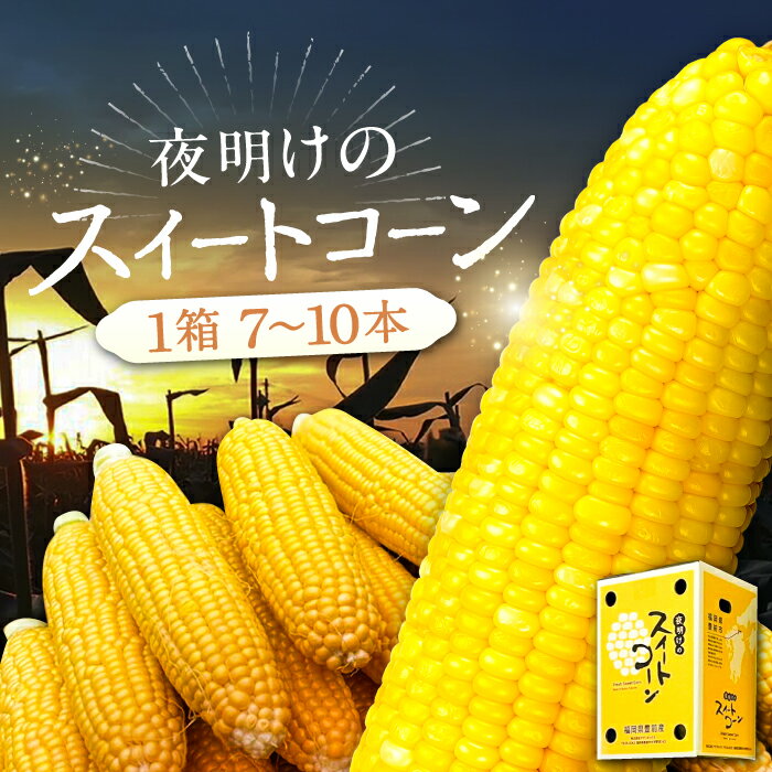 【先行予約】夜明けのスイートコーン 4kg×1箱 (7〜10本) 【2026年6月以降順次発送】《豊前市》【アグリネックス】 とうもろこし コーン スイートコーン 14000円 [VCO001]