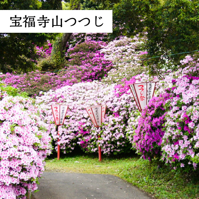 【ふるさと納税】福岡県豊前市の対象施設で使える楽天トラベルクーポン 寄附額 100000円 - 画像3