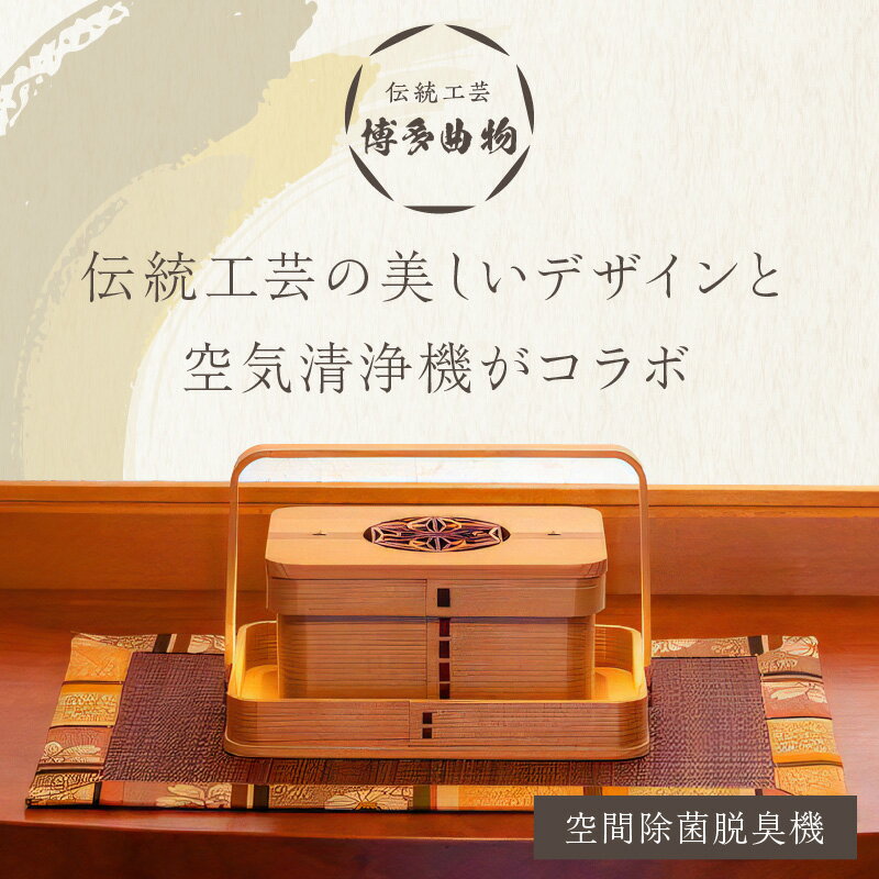 【ふるさと納税】空間除菌脱臭機 家電 細菌 クリーナー 脱臭 脱臭機 清浄機 空気除菌 生活家電 光触媒 送料無料【027-0011】 サムネイル2