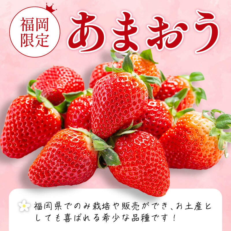 【ふるさと納税】フルーツソムリエが選んだ福岡産【春】あまおう4パック 福岡県産 いちご 苺 あまおう 約 1kg 旬 果物 フルーツ 福岡 中間市 期間限定 先行予約 2026 送料無料 お取り寄せ スイーツ ケーキ タルト ジャム パフェ シャーベット【011-0073】 サムネイル2