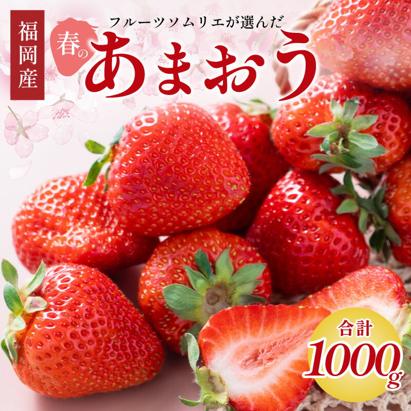 フルーツソムリエが選んだ福岡産【春】あまおう4パック 福岡県産 いちご 苺 あまおう 約 1kg 旬 果物 フルーツ 福岡 中間市 期間限定 先行予約 2026 送料無料 お取り寄せ スイーツ ケーキ タルト ジャム パフェ シャーベット【011-0073】