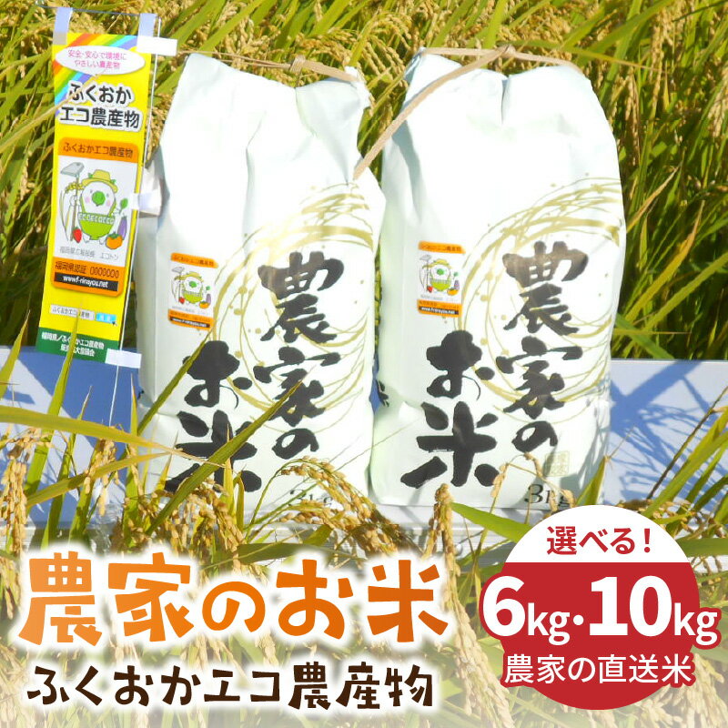 ＼選べるお届け内容量／農家の直送米　ふくおかエコ農産物＜農家のお米＞6kg・10kg