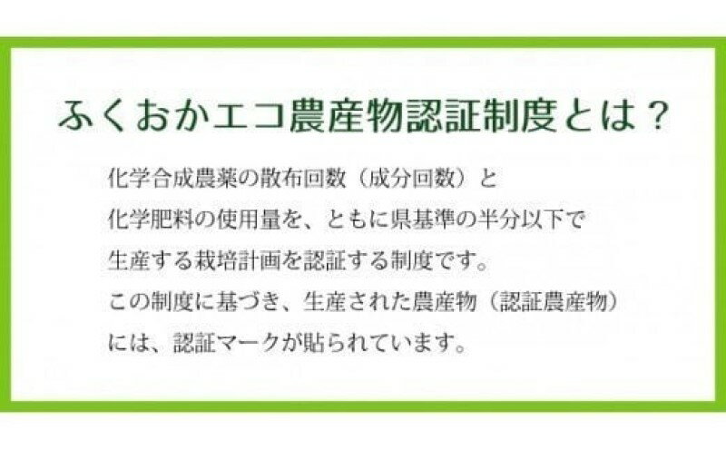 【ふるさと納税】里芋 ねっとりもちもち 小郡産の里芋 白芽大吉 5kg ふくおかエコ農産物認証 ゆうき自然農場 野菜 芋 　お届け：2025年11月～2026年4月 - 画像3