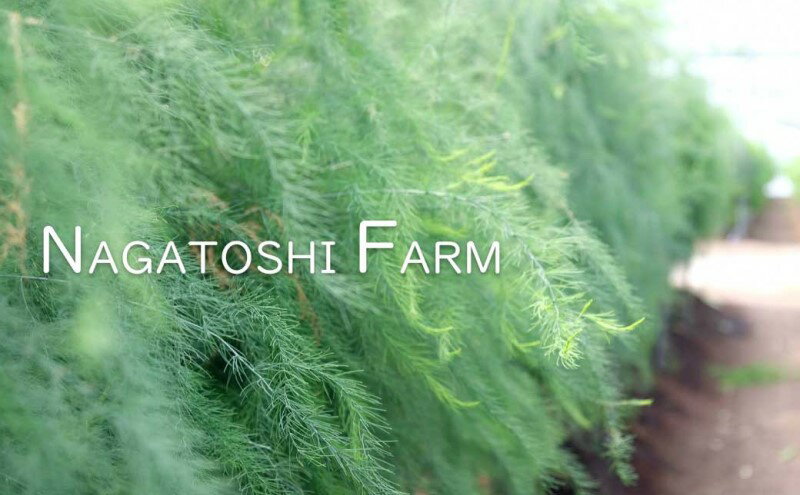 【ふるさと納税】【先行予約】発送2025年4月 アスパラガス 小郡産 朝採りアスパラガス 500g (L、2Lサイズ混) 野菜 永利農園 　お届け：2026年10月末まで - 画像3