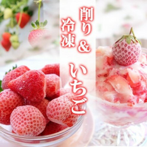 【ふるさと納税】いちご 冷凍いちご 1kg＆削りいちご 400g 練乳付き イチゴ 苺 果物 デザート ベリー畑 福田ファーム ※配送不可：沖縄、離島 サムネイル2