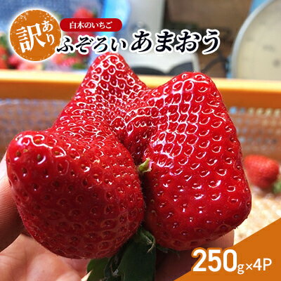 訳あり いちご いちご職人 白木のいちご あまおう ふぞろいな「いちご」たち 250g×4P 訳アリ イチゴ 苺 果物 デザート ※配送不可：沖縄・離島　お届け：2026年1月中旬～4月下旬まで