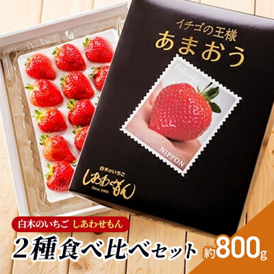 いちご 2種 食べ比べ セット いちご職人 白木のいちご あまおう 化粧箱 1箱 旬のいちご 化粧箱 1箱 イチゴ 苺 果物 デザート ※配送不可：沖縄・離島　お届け：2026年2月上旬～4月下旬まで