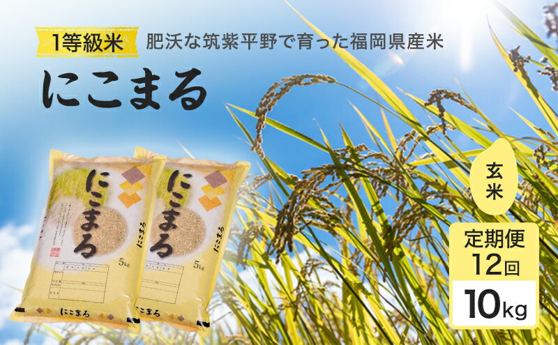 【ふるさと納税】令和7年度 定期便 12回 米 1粒からこだわる1等級米 にこまる 玄米(10kg×12回） お米 コメ お楽しみ 12ヶ月 令和7年度産 - 画像2