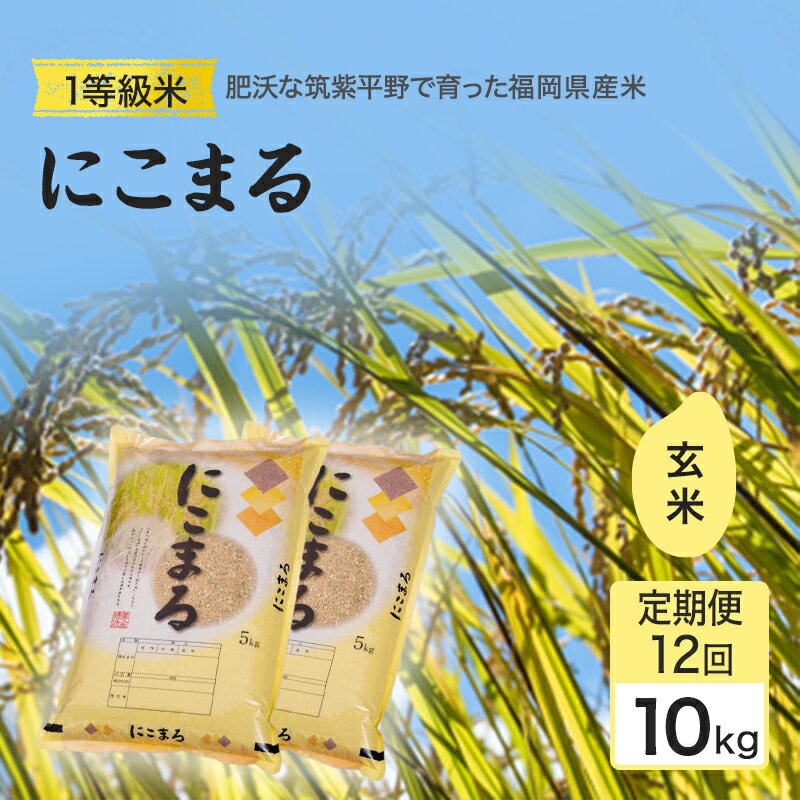 令和7年度 定期便 12回 米 1粒からこだわる1等級米 にこまる 玄米(10kg×12回） お米 コメ お楽しみ 12ヶ月 令和7年度産
