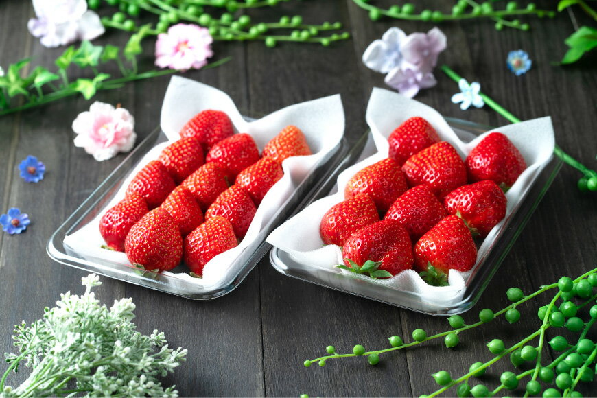 【ふるさと納税】 【期間限定発送】甘酸っぱい！酸味と甘味を楽しむ苺 福岡限定生産【冬】あまおう 2パック [南国フルーツ 福岡県 筑紫野市 21760092] 苺 いちご イチゴ フルーツ 果物 くだもの 冷蔵 サムネイル3