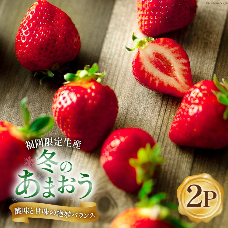 【期間限定発送】甘酸っぱい！酸味と甘味を楽しむ苺 福岡限定生産【冬】あまおう 2パック [南国フルーツ 福岡県 筑紫野市 21760092] 苺 いちご イチゴ フルーツ 果物 くだもの 冷蔵