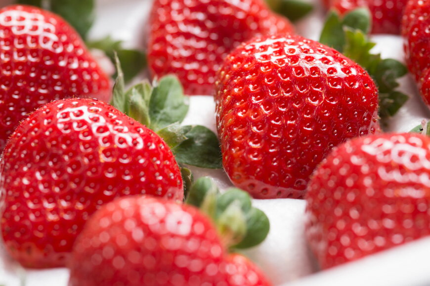 【ふるさと納税】 【期間限定発送】大粒で真っ赤な果肉 溢れ出す果汁 福岡産 あまおう 24-30粒 ギフト箱 [南国フルーツ 福岡県 筑紫野市 21760093] 苺 いちご イチゴ フルーツ 果物 くだもの 冷蔵 サムネイル2