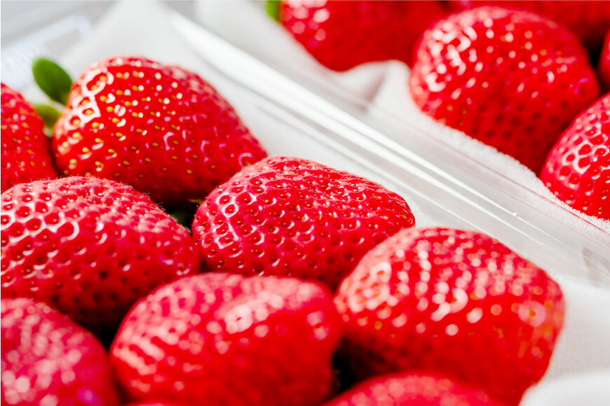 【ふるさと納税】 【期間限定発送】 いちご 春の苺 あまおう 6パック [南国フルーツ 福岡県 筑紫野市 21760095] いちご 苺 イチゴ フルーツ 果物 期間限定 季節限定 福岡県産 甘い 春苺 サムネイル3