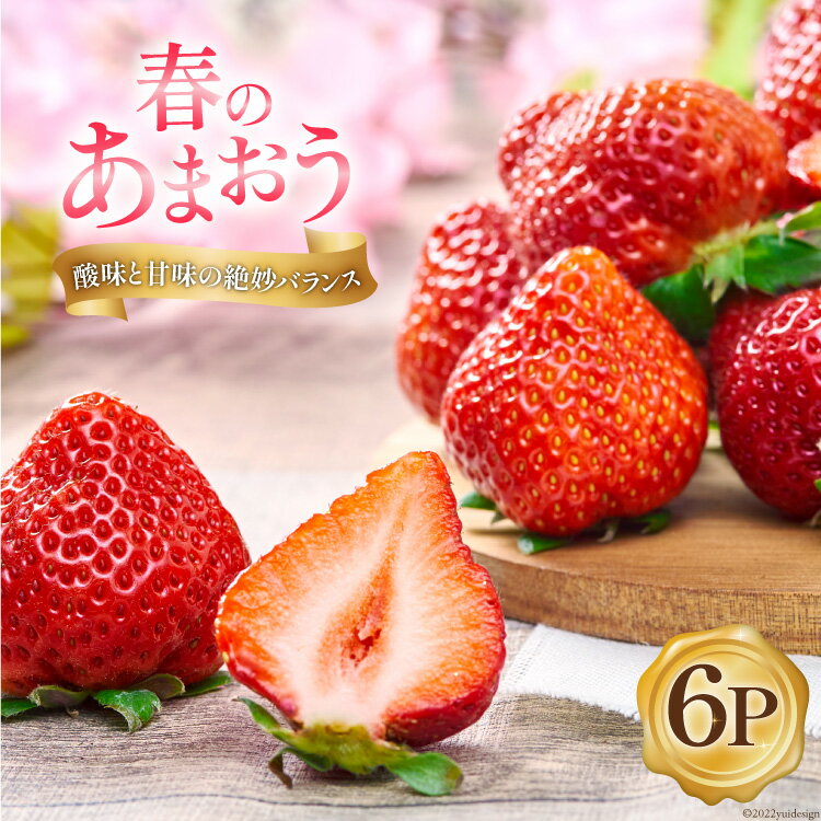 【期間限定発送】 いちご 春の苺 あまおう 6パック [南国フルーツ 福岡県 筑紫野市 21760095] いちご 苺 イチゴ フルーツ 果物 期間限定 季節限定 福岡県産 甘い 春苺
