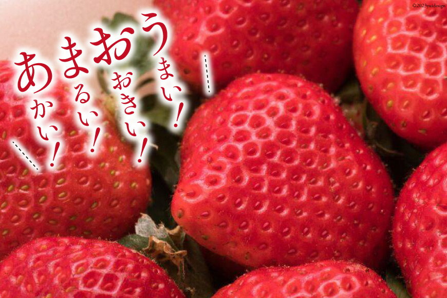 【ふるさと納税】 いちご 博多 冷凍あまおう 約500g×2袋 計約1kg [エイチアンドフューチャーズ 福岡県 筑紫野市 21760520] 果物 フルーツ 苺 イチゴ あまおう 冷凍いちご 冷凍苺 果実 ストロベリー ジャム用 福岡県産 サムネイル2