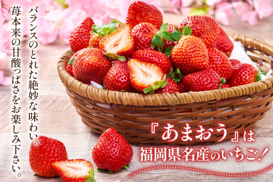 【ふるさと納税】 【期間限定発送】 いちご 春の苺 あまおう 4パック [南国フルーツ 福岡県 筑紫野市 21760096] いちご 苺 イチゴ フルーツ 果物 期間限定 季節限定 福岡県産 甘い サムネイル3
