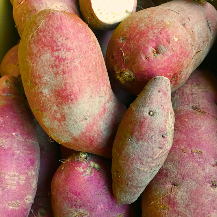 【ふるさと納税】 さつまいも 紅はるか 5kg 10kg 選べる量[石橋農園 福岡県 筑紫野市 21761231] さつま芋 べにはるか 5キロ 10キロ 芋 お芋 オーガニック 有機 熟成 - 画像2