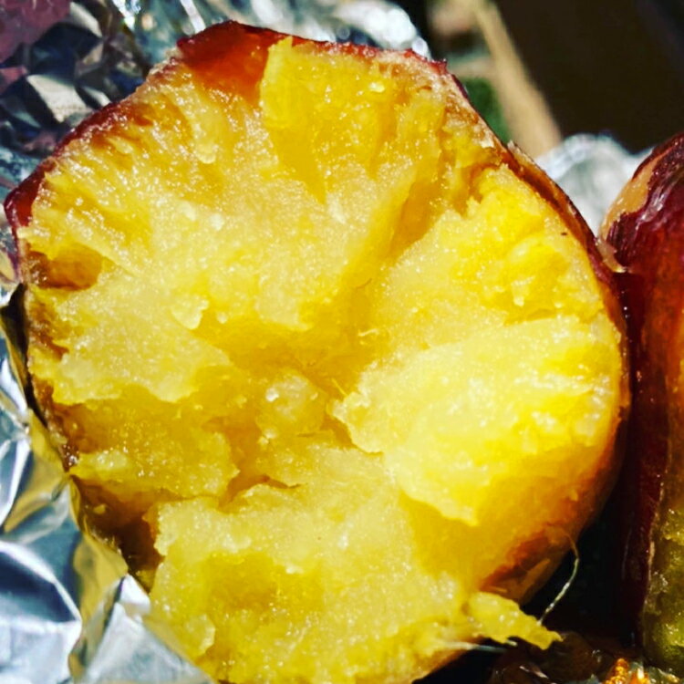 【ふるさと納税】 さつまいも 紅はるか 5kg 10kg 選べる量[石橋農園 福岡県 筑紫野市 21761231] さつま芋 べにはるか 5キロ 10キロ 芋 お芋 オーガニック 有機 熟成 - 画像3