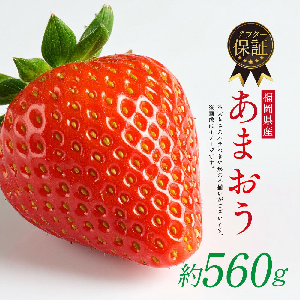 ＜予約受付中！2026年1月上旬より順次発送予定＞福岡県産 あまおう(計約560g・280g×2P) 苺 いちご イチゴ 果物 フルーツ 国産 福岡県 ヨーグルト ジャム スムージー 冷蔵 ONEGO ＜離島配送不可＞【ksg1804】【ONEGO】