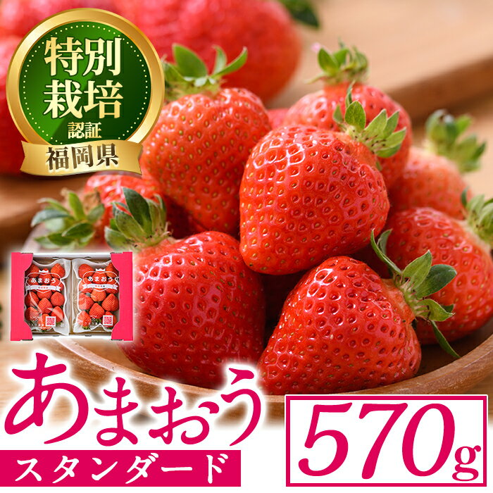＜予約受付中！2025年12月中旬より順次発送予定＞うるう農園のスタンダードあまおう(計570g・285g×2P) 苺 いちご イチゴ 果物 フルーツ 国産 福岡県 ヨーグルト ジャム スムージー 冷蔵 特別栽培 ＜離島配送不可＞【ksg1218】【うるう農園】