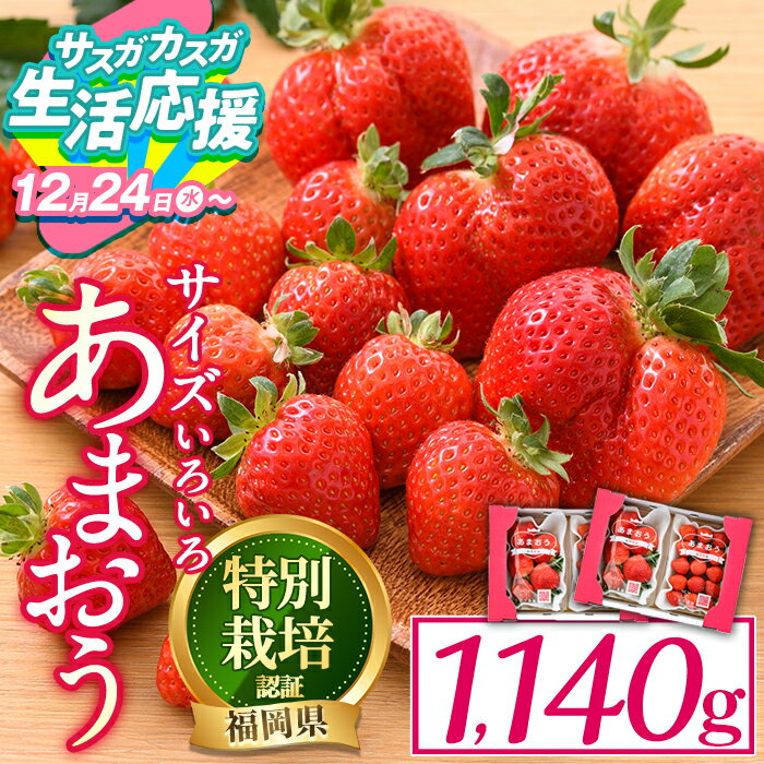＜数量限定・予約受付中！2026年3月〜4月中旬より順次発送予定＞ ＜不揃い＞ あまおう (計1.14kg・285g×4P) 苺 いちご イチゴ フルーツ 果物 冷蔵 特別栽培 福岡県 国産 ＜離島配送不可＞【ksg1222・ksg1222-g】【うるう農園】