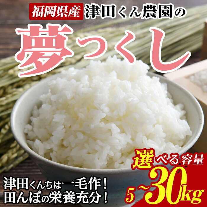 ＜容量が選べる・先行予約受付中！2025年10月から2026年4月末にかけて順次発送予定＞津田くん農園の夢つくし(5〜30kg) お米 白米 5キロ 10キロ 30キロ ごはん ご飯 【ksg1327・ksg1328・ksg1329】【くしだ企画】