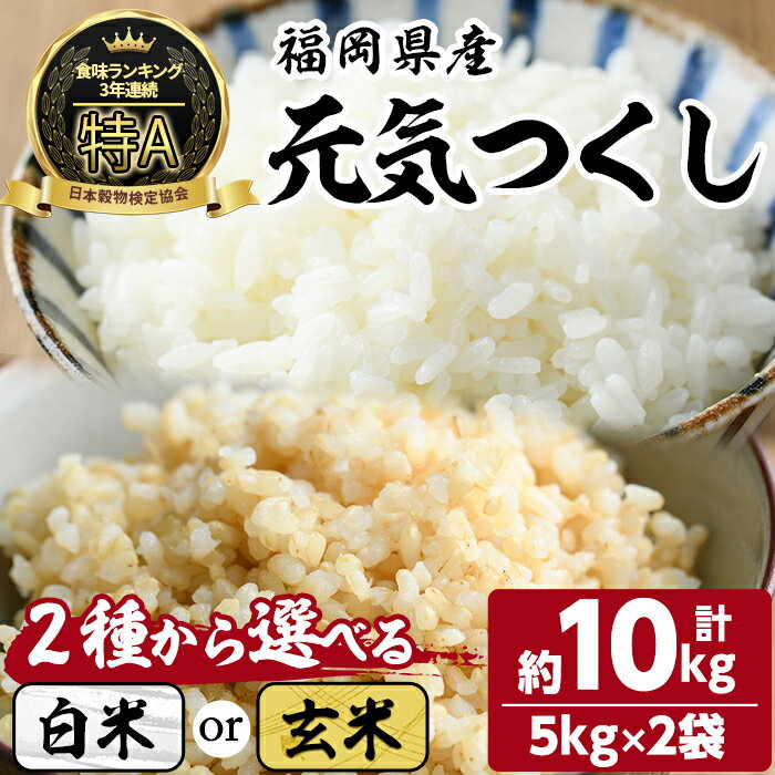 ＜選べる白米 or 玄米＞ 福岡県産 元気つくし(計10kg・5kg×2袋) お米 こめ コメ 精米 玄米 ブランド米 10キロ ごはん ご飯 常温 常温保存【ksg1330】【おどろきっちん】