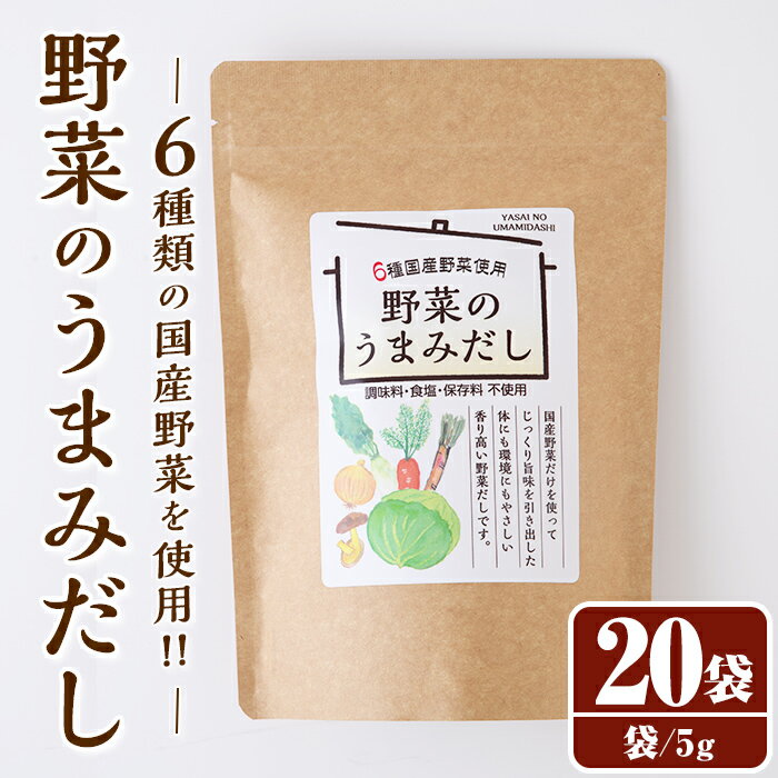 野菜のうまみだし(100g・5g×20袋) だしパック 出汁 出汁パック ダシ 椎茸 しいたけ シイタケ キャベツ 人参 大根 玉ねぎ ごぼう 個包装 小分け 離乳食 介護食 炊き込みご飯 鍋 調味料不使用 塩分不使用 保存料不使用 常温 常温保存【ksg1585】【宝山九州】
