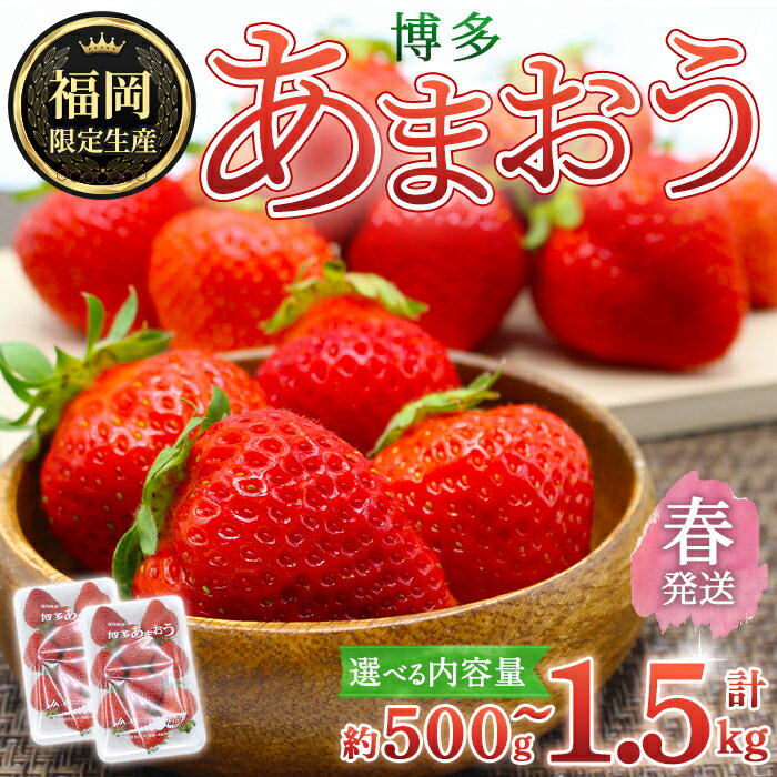 ＜容量を選べる・先行予約受付中！2026年2月上旬〜2026年4月下旬に順次発送予定＞ 博多あまおう・春 (計約500g〜1.5kg) いちご 苺 フルーツ 果物 くだもの 福岡限定 家庭用 冷蔵＜離島配送不可＞【ksg1739・ksg1740・ksg1741】【農産物直売所ほたるの里】