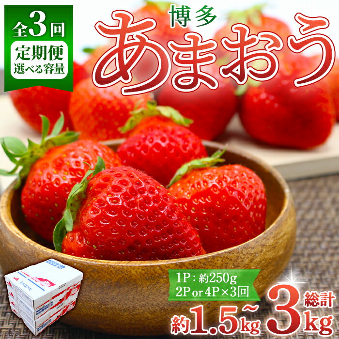 ＜容量を選べる・全3回定期便・先行予約受付中！2026年2月上旬〜2026年4月下旬に順次発送予定＞ 博多あまおう (総計約1.5kg〜3kg) いちご 苺 フルーツ 果物 くだもの 家庭用 冷蔵 定期便 ＜離島配送不可＞【ksg1742・ksg1743】【農産物直売所ほたるの里】