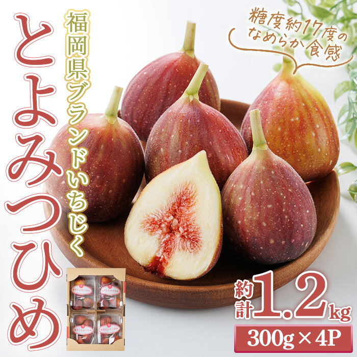 ＜先行予約受付中！2026年8月下旬～2026年10月下旬順次発送予定＞福岡県ブランドいちじく博多 とよみつひめ (計約1.2kg・300g×4P) いちじく イチジク フルーツ 果物 くだもの 福岡限定＜離島配送不可＞【ksg1750】【農産物直売所ほたるの里】