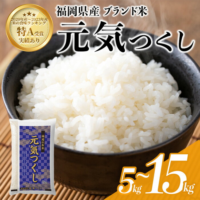 ＜数量限定・選べる！内容量＞ 元気つくし 精白米 (5kg〜15kg) お米 米 精白米 おこめ ごはん ご飯 ライス 弁当 おにぎり 国産 福岡県産 ブランド米 5kg 10kg 15kg 数量限定 常温 ＜北海道・沖縄・離島配送不可＞【ksg1780・ksg1781・ksg1782】
