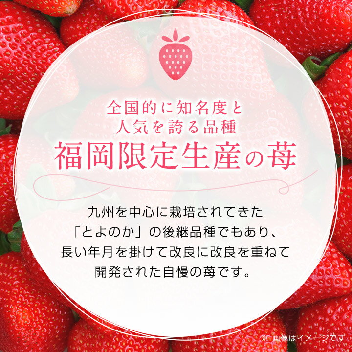 【ふるさと納税】【11月下旬より順次発送】フルーツ専門店が選んだ「あまおう苺」ギフト箱(24-30粒)(大野城市)_ いちご 苺 イチゴ フルーツ 果物 くだもの ふるーつ 青果 あまおう 旬 人気 産直 農家直送 国産 希少 品種 ギフト 贈答 【配送不可地域：離島】【1083230】 サムネイル2