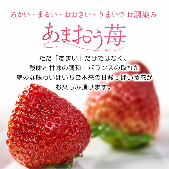 【ふるさと納税】【11月下旬より順次発送】フルーツ専門店が選んだ「あまおう苺」ギフト箱(24-30粒)(大野城市)_ いちご 苺 イチゴ フルーツ 果物 くだもの ふるーつ 青果 あまおう 旬 人気 産直 農家直送 国産 希少 品種 ギフト 贈答 【配送不可地域：離島】【1083230】 サムネイル3
