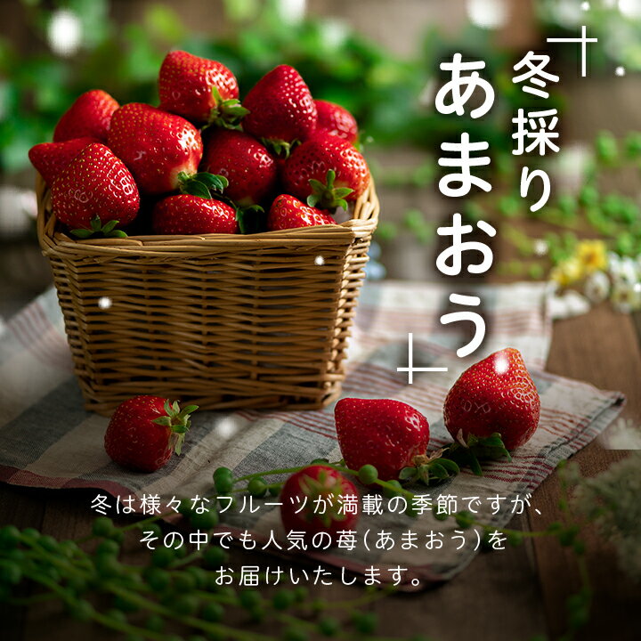 【ふるさと納税】【11月下旬より順次発送】フルーツ専門店が選んだ「あまおう苺」冬4パック(大野城市)_ いちご 苺 イチゴ フルーツ 果物 くだもの ふるーつ 青果 あまおう 旬 人気 産直 農家直送 国産 希少 品種 ギフト 贈答 プレゼント【配送不可地域：離島】【1083236】 サムネイル2